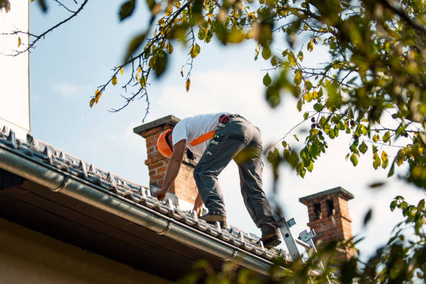 Best Metal Roofing Contractor  in Nashville, NC