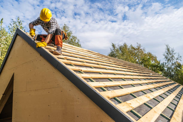 Best Roof Gutter Cleaning  in Nashville, NC